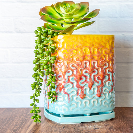 'Fire Coral' 7" Tall Planter