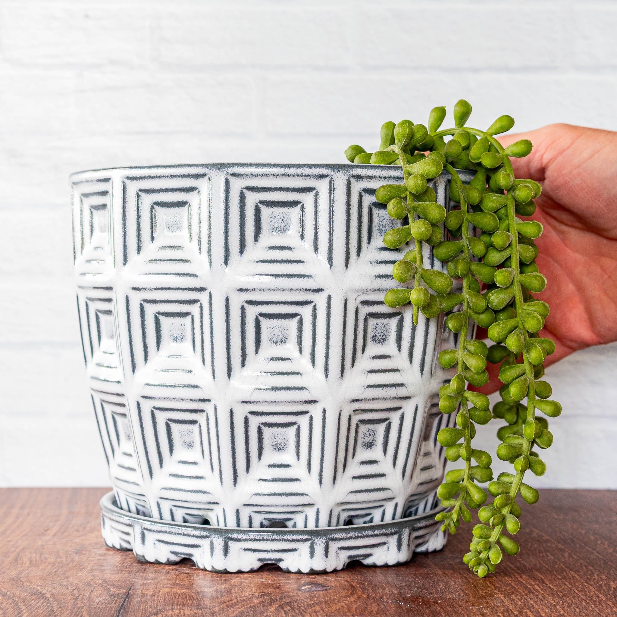 Pantheon Planter - Hammerly Ceramics